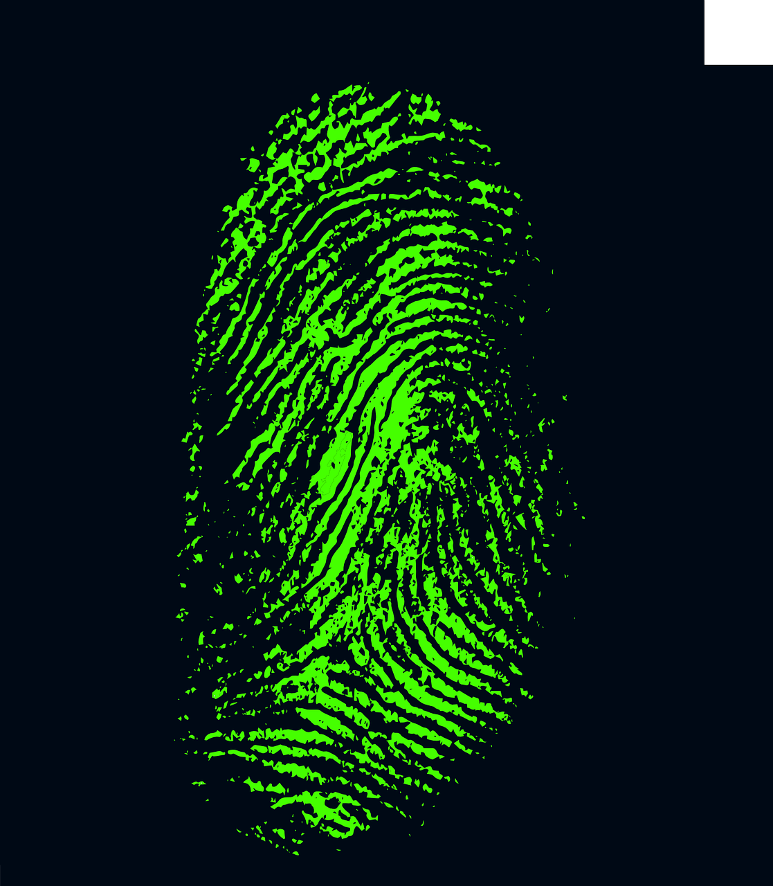 fingerprint, daktylogramm, papillary-257038.jpg